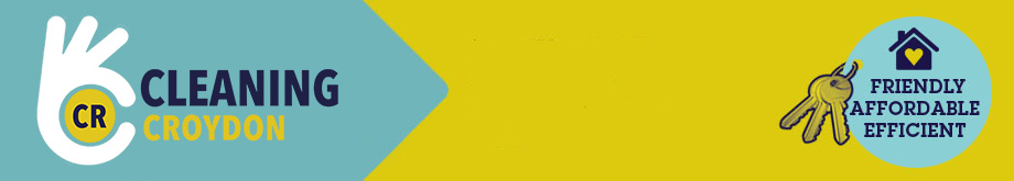 Cleaning Croydon Header Banner